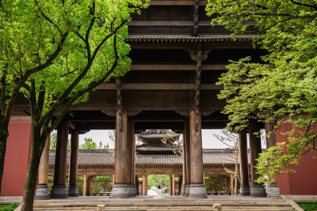 喜報(bào)|人文園林榮獲桐鄉(xiāng)市“鳳鳴杯”三項(xiàng)優(yōu)質(zhì)工程榮譽(yù)！