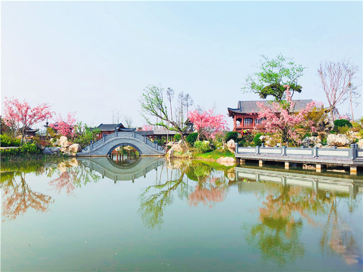 黃有華-韓城國家文史公園瓊島攬月處紅花綠葉，春意盎然。.jpg