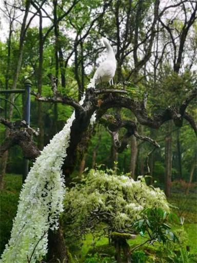 16823933448408413CDD.jpg 微信圖片_20230421173521.jpg